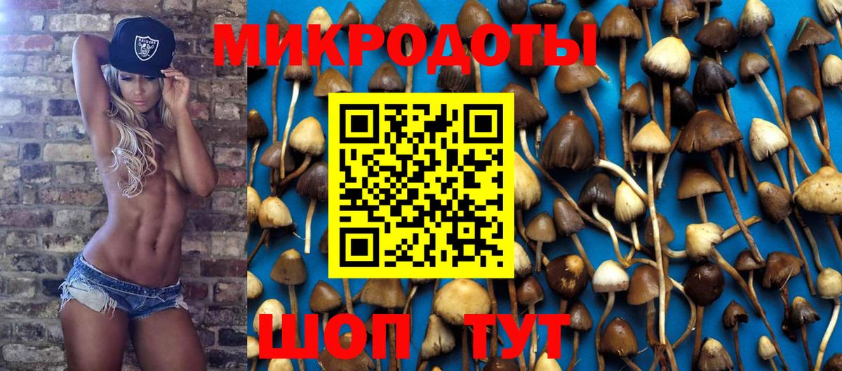 Псилоцибиновые грибы GOLDEN TEACHER  Псилоцибиновые грибы GOLDEN TEACHER  Гай  Вход с VPN 