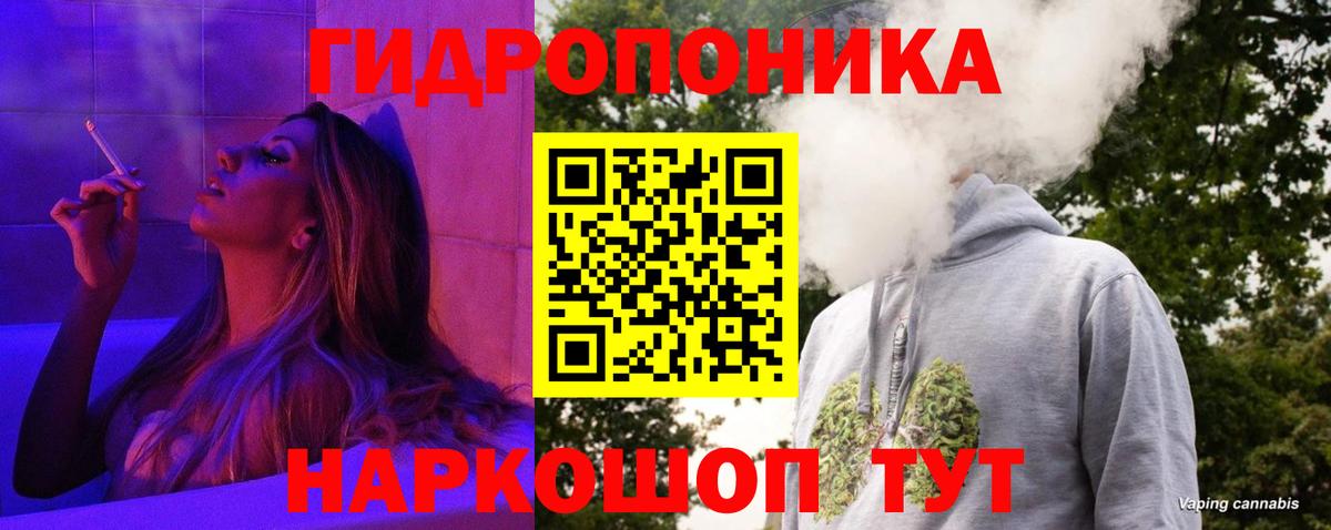 МАРИХУАНА SATIVA & INDICA Гай